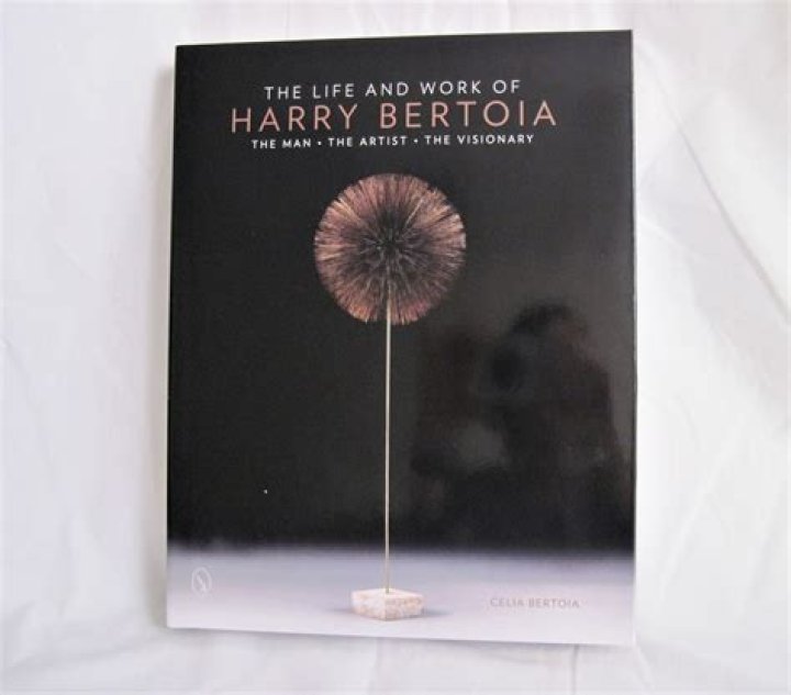 An Insight Into The Life And Work Of The Renowned Personality