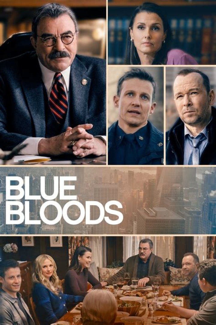 Blue Bloods Season 11 Episode 8 Spoilers: We will finally see who pushed Danny and Baez into t