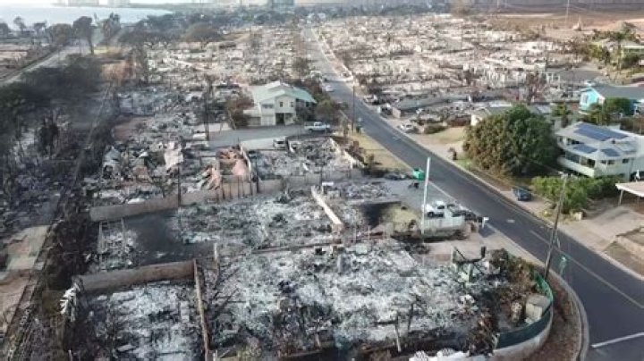 Did The Safeway in Lahaina burn down? Status of businesses affected by Maui wildfires explored