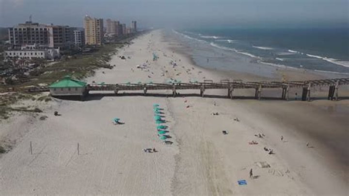 Discoveries And Insights From Jacksonville Beach