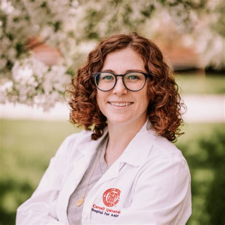 Unveiling The Inspiring Journey Of Dr. Lauren Thielen: From Medicine To Advocacy