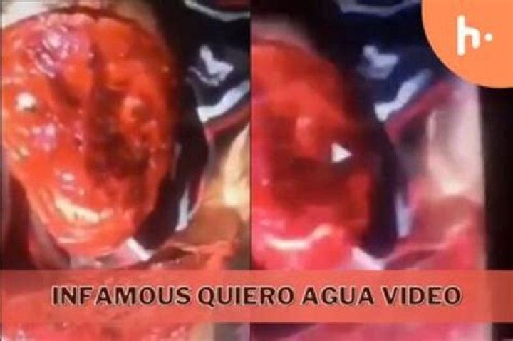 Unveiling The Truth Behind "Agua Quiero Agua Original Gore Video Quiero": Discoveries And Insights