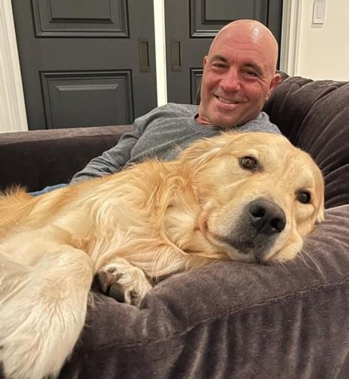 Who is Marshall Mae Rogan? Joe Rogan's photos of his beloved dog prove he shares impeccable bond wit